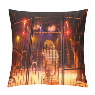 Personality  Animal Trainer In A Circus, Horizontal Picture Pillow Covers