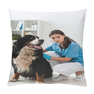 Personality  Young, Attentive Veterinarian Examining Bernese Mountain Dog With Stethoscope Pillow Covers