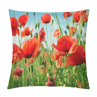 Personality  Poppies On Green Field Pillow Covers