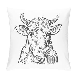 Personality  Cows Head. Hand Drawn In A Graphic Style. Vintage Vector Engraving Illustration For Info Graphic, Poster, Web. Isolated On White Background. Pillow Covers