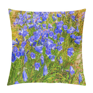 Personality  Blue Bellflowers Among Of Grass On The Highlands Of The Carpathian Mountains Pillow Covers