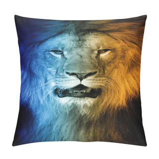 Personality  Close Up Portrait Of Lion In A Hot And Cold Shade Pillow Covers