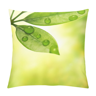 Personality  Green Leaf Over Blurred Background Pillow Covers