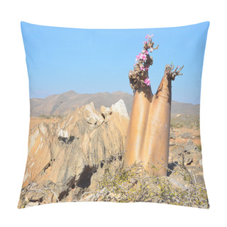 Personality  Yemen, Socotra, Bottle Trees (desert Rose - Adenium Obesum) In The Gorge Of Kalesan Pillow Covers
