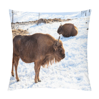 Personality  Two Female Large Brown Bisons Or Wall Street Bulls Stands On The Pillow Covers