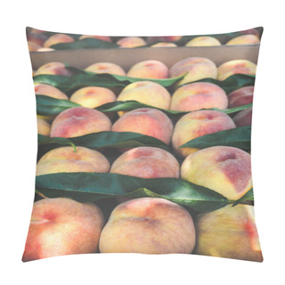 Personality  Organic Pillow Covers