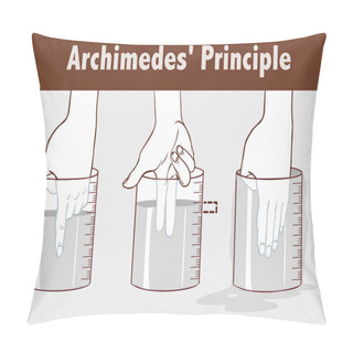 Personality  Archimedes' Principle Vector Illustration Pillow Covers