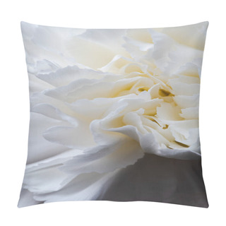 Personality  Details And Textures Of White Flower Petals, White Carnation, Dianthus Caryophyllus, Illuminated With Natural Light, Macro Photography Pillow Covers