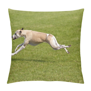 Personality  Dog Race Pillow Covers