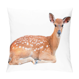 Personality  Baby Sika Deer Pillow Covers