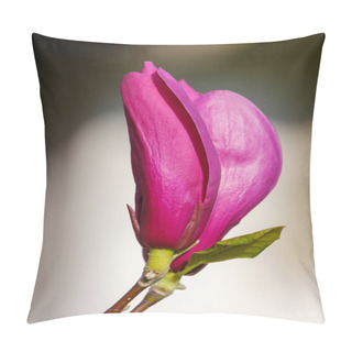 Personality  Close Up Of Pink Magnolia Flower Pillow Covers