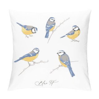 Personality  Blue Tit Bird Hand Drawn Vector Illustration Set Isolated On White. Pillow Covers