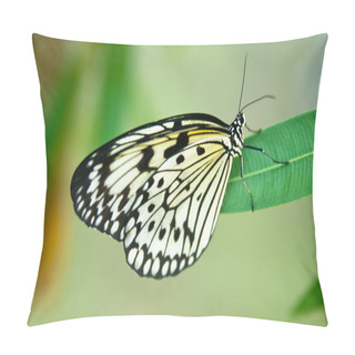 Personality  Rice Paper Butterfly Pillow Covers