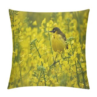 Personality  Bird In Canola Flowers Pillow Covers
