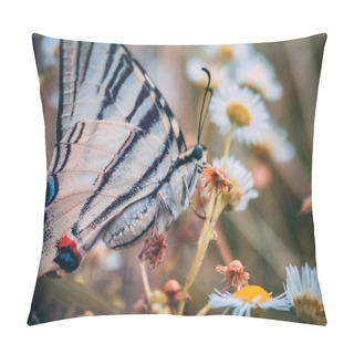 Personality  Selective Focus Shot Of A Black And White Butterfly On An Orange Flower Among White Daisies Pillow Covers