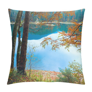 Personality  Autumn Tree And Synevir Lake Pillow Covers