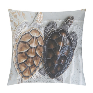 Personality  Two Green Sea Turtles In The Water (lat. Chelonia Mydas) Pillow Covers