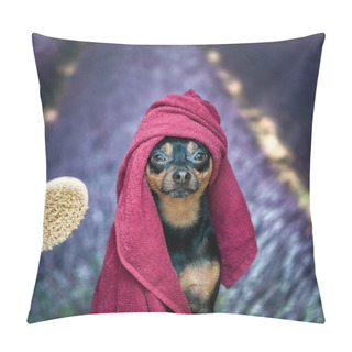 Personality   Puppy, Dog In A Towel After Bathing. Pretty Dog Port Pillow Covers