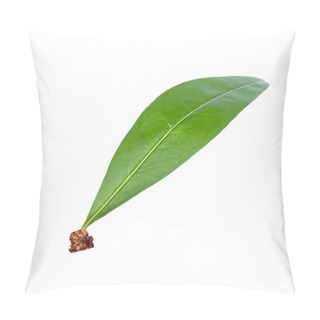 Personality  Peach Leaf Isolated On White Background Pillow Covers