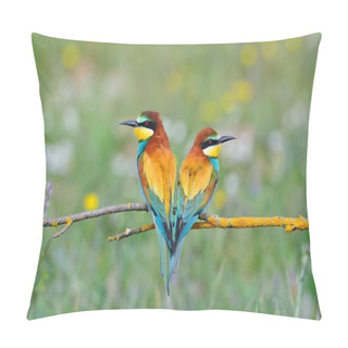 Personality  Couple Of Bee-eaters On Leafless Branch Pillow Covers