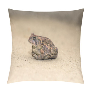 Personality  Toad On The Floor Pillow Covers