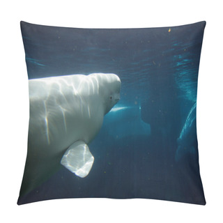 Personality  White Beluga Whale Pillow Covers