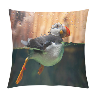 Personality  Puffin Pillow Covers