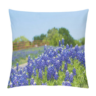 Personality  Texas Bluebonnets Blooming Along A Country Road Pillow Covers