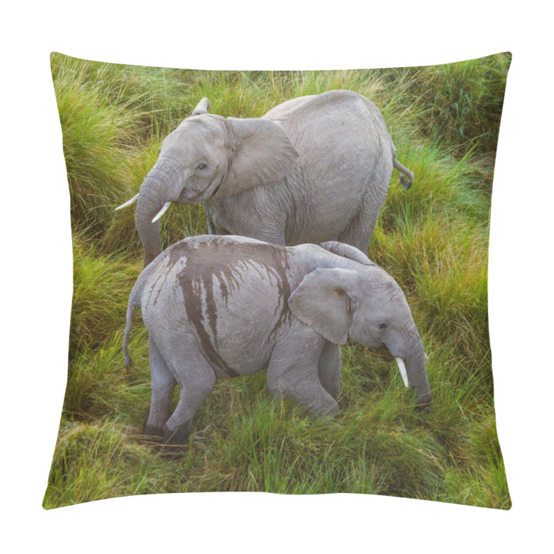 Personality  Two wild elephan pillow covers