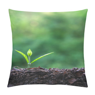 Personality  Young Plant Pillow Covers