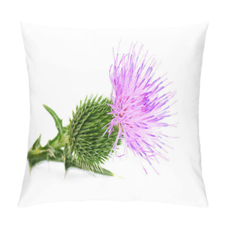 Personality  Thistle Pillow Covers