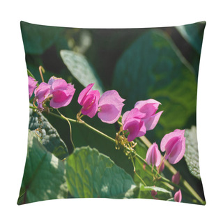 Personality  Pink Flowers Of Coral Vine On Green Leaves Background. Pillow Covers