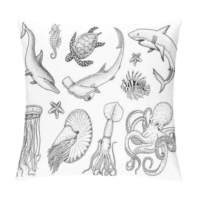 Personality  Fishes set or sea creature nautilus pompilius, jellyfish and starfish. octopus and squid, calamari. dolphin and hammerhead shark. green turtle and seahorse. engraved hand drawn in old vintage sketch. pillow covers