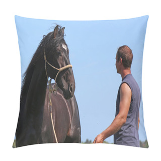 Personality  Black Horse And Man Pillow Covers