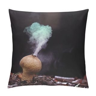 Personality  Puffball Fungus Spores Pillow Covers