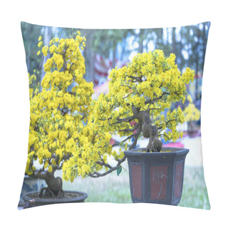 Personality  Apricot Bonsai Tree Blooming With Yellow Flowering Branches Curving Create Unique Beauty. This Is A Special Wrong Tree Symbolizes Luck, Prosperity In Spring Vietnam Lunar New Year Pillow Covers