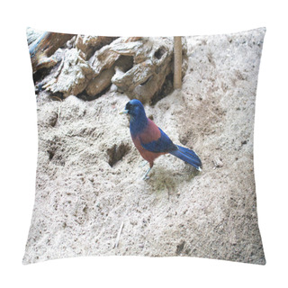 Personality  Exquisite Lidth's Jay (Garrulus Lidthi) Captured Amidst The Lush Landscapes Of South Japan. A Rare Glimpse Into The Avian Wonders Of The Region. Pillow Covers