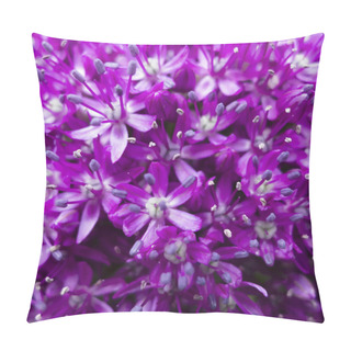 Personality  Ornamental Allium Flower Pillow Covers