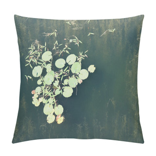 Personality  Water Lily. Photo From The Bridge. View Of Water Lilies, Lake And Algae Pillow Covers