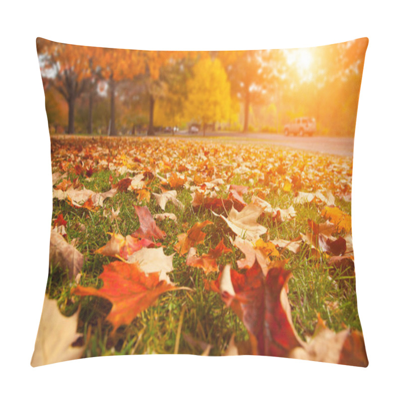 Personality  Autumn park pillow covers