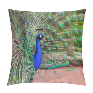 Personality  Peacock Pillow Covers
