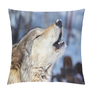 Personality  Alpha Male Grey Wolf Howling  Pillow Covers