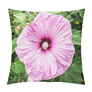 Personality  Beautiful Pink Hibiscus Flower, Natural Scene Pillow Covers