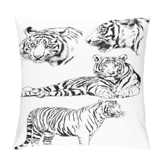 Personality  Vector Drawings Sketches Different Predator , Tigers Lions Cheetahs And Leopards Are Drawn In Ink By Hand , Objects With No Background Pillow Covers
