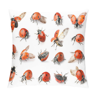 Personality  Set With Beautiful Ladybugs On White Background Pillow Covers