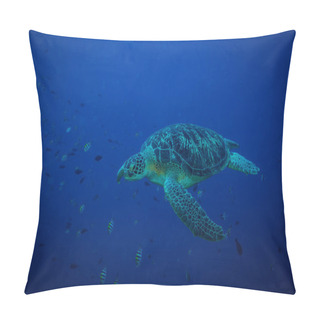 Personality  Underwater View Of Turtle In Komodo National Park Pillow Covers