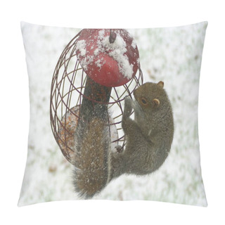 Personality  A Squirrel Trying To Steal Seeds From A Metal Bird Feeder In The Winter Pillow Covers
