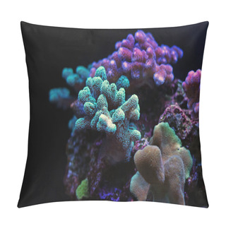Personality  Coral In Marine Aquarium Tank Pillow Covers