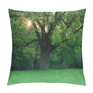 Personality  Oak In The Spring Meadow Pillow Covers