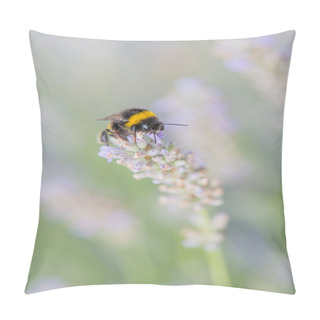 Personality  Bumblebee On Flower Lavender Pillow Covers